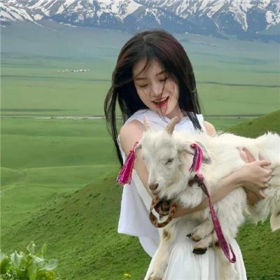 奇爱力克斯 封面