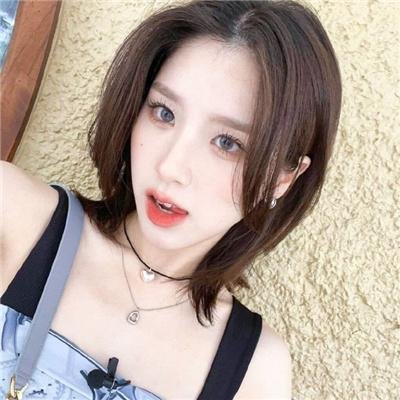 步步倾心2024 封面