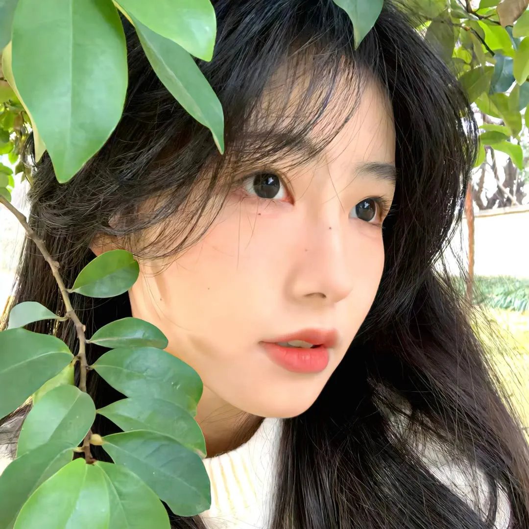 巴哈 封面